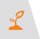 Conciência Ambiental